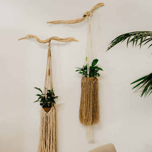 Plantaguer em Macramé