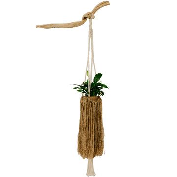 Plantaguer em Macramé